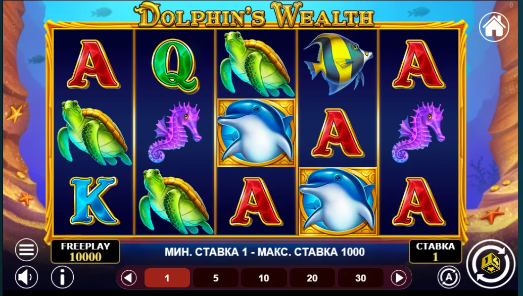 Dolphins Wealth 1spin4win